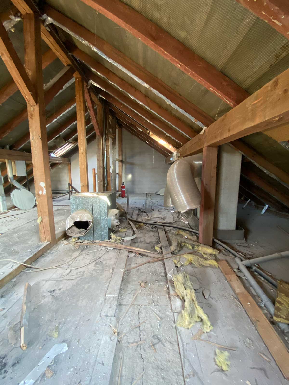 Aus alt mach neu - Tassilo Beck saniert uralte Häuser in Kaiserslautern